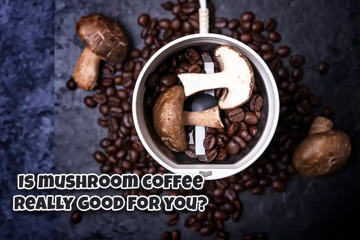 Is Mushroom Coffee Really Good for You? Benefits and More 1 Discover if mushroom coffee is truly beneficial for your health, including its potential benefits, risks, and how to incorporate it in life.