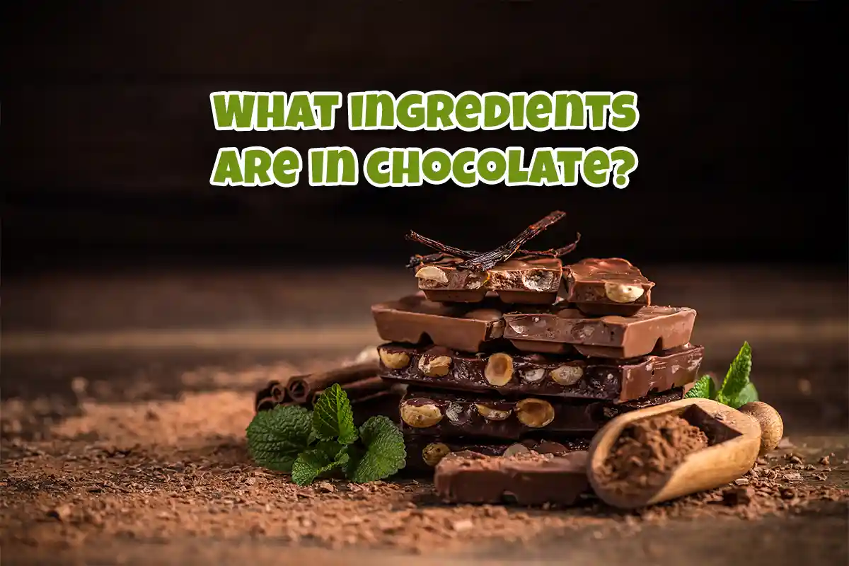 What Ingredients Are in Chocolate? A Detailed Guide 1 The essential ingredients in chocolate, including cocoa solids, sugar, milk powder, and more. Learn what makes chocolate so delicious.