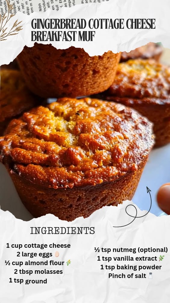 Gingerbread Cottage Cheese Muffins: A High-Protein Breakfast Recipe 3 gingerbread cottage cheese breakfast muffins